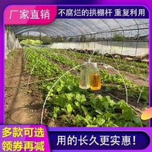 农用小拱棚支架蔬菜温室大棚玻璃纤维棒骨架杆蔬菜棚多肉保温防雪