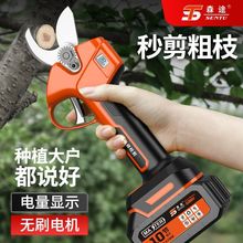 ��ɭ;늄���֦������������ʽ�@���늳�늼��o����y��֦��