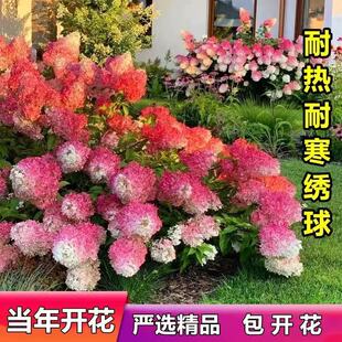 沭阳县鸿鲲花卉经营中心