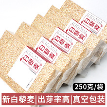 ��ɽ���ຣ��ԭ����������s�Z�ּZ�ЋD�����������޼����250��