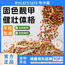 ������С����С�w�������ʳ�~���r�ɰ���������������������üZ