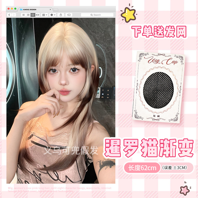 샴 고양이 그라데이션