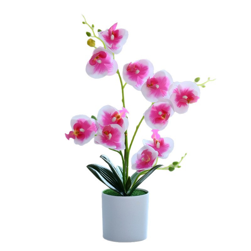 Flor artificial doble tenedor Phalaenopsis bonsai suministro directo de fábrica orquídea creativo interior pequeño columpio artificial planta verde artificial flor artificial al por mayor