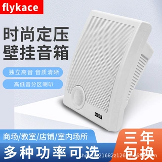 WS-570B壁挂喇叭 壁挂音箱 教室壁挂音响 店铺壁挂喇叭扬声器