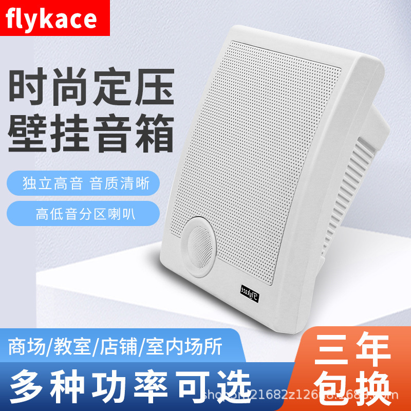 Flykace Ws-570B Wall-Mounted Speaker Wall-Mounted Speaker Classroom Wall-Mounted Audio Store Wall-Mounted Speaker