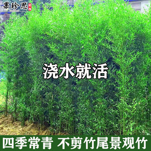 �ͺ��^�p������ͥԺ�ļ������F�����҃�������Gֲ���^�_�h����