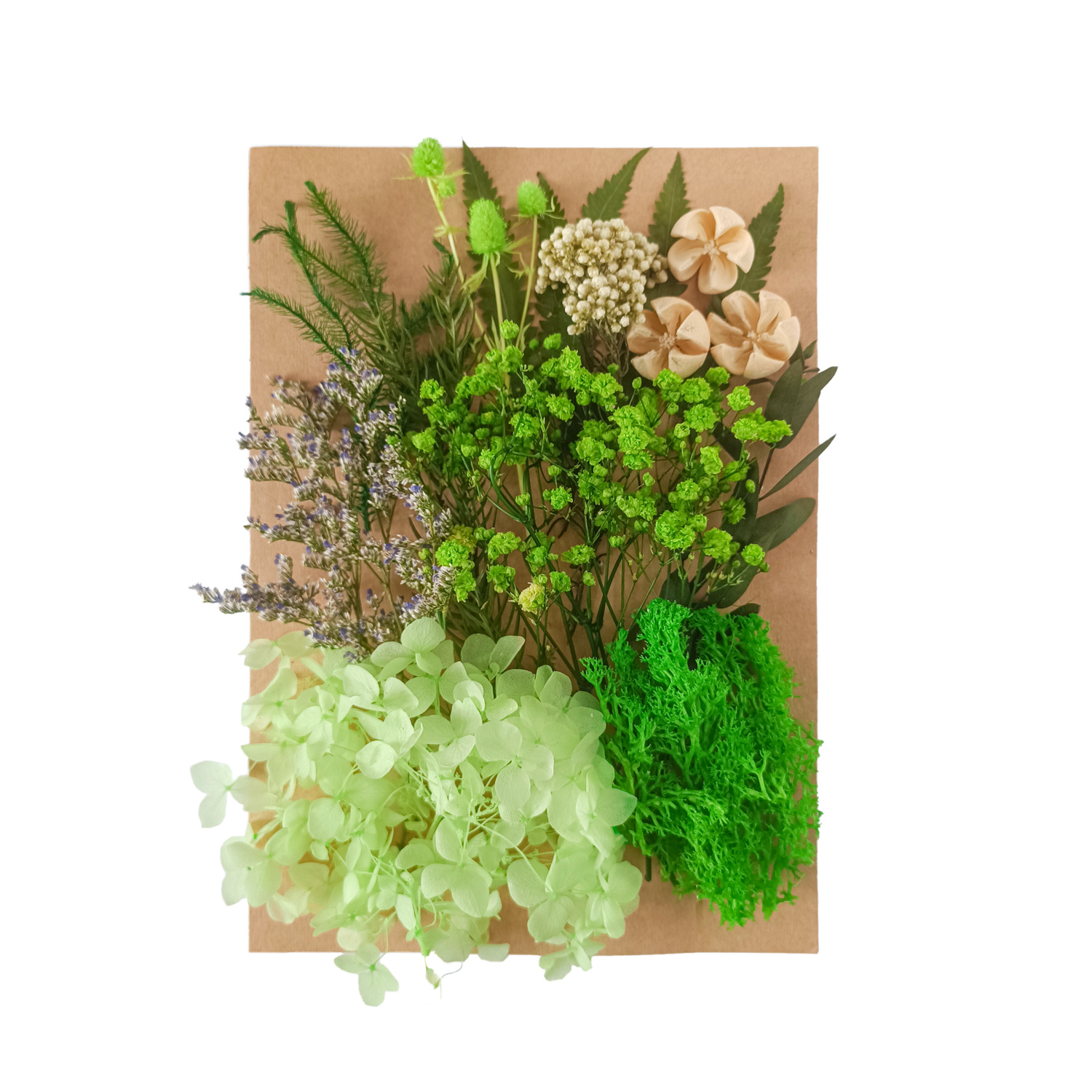 Flor seca flor eterna marco de fotos en relieve paquete de material combinación paquete de flores aromaterapia ventilador A5 bolsa de fábrica al por mayor transfronteriza
