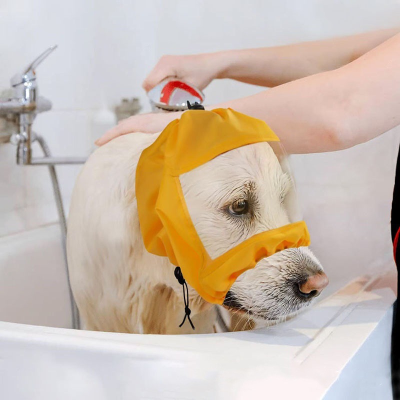 O1CN01FuLrfF2Lj1UY2Gv7z_!!2207