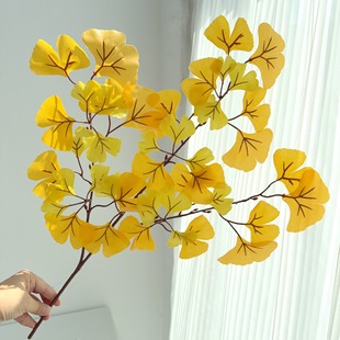 �����y���~�ָ��^�z�Sɫ�y�Ә�֦�~�@���쾰ܛ�b���̲廨�b����l