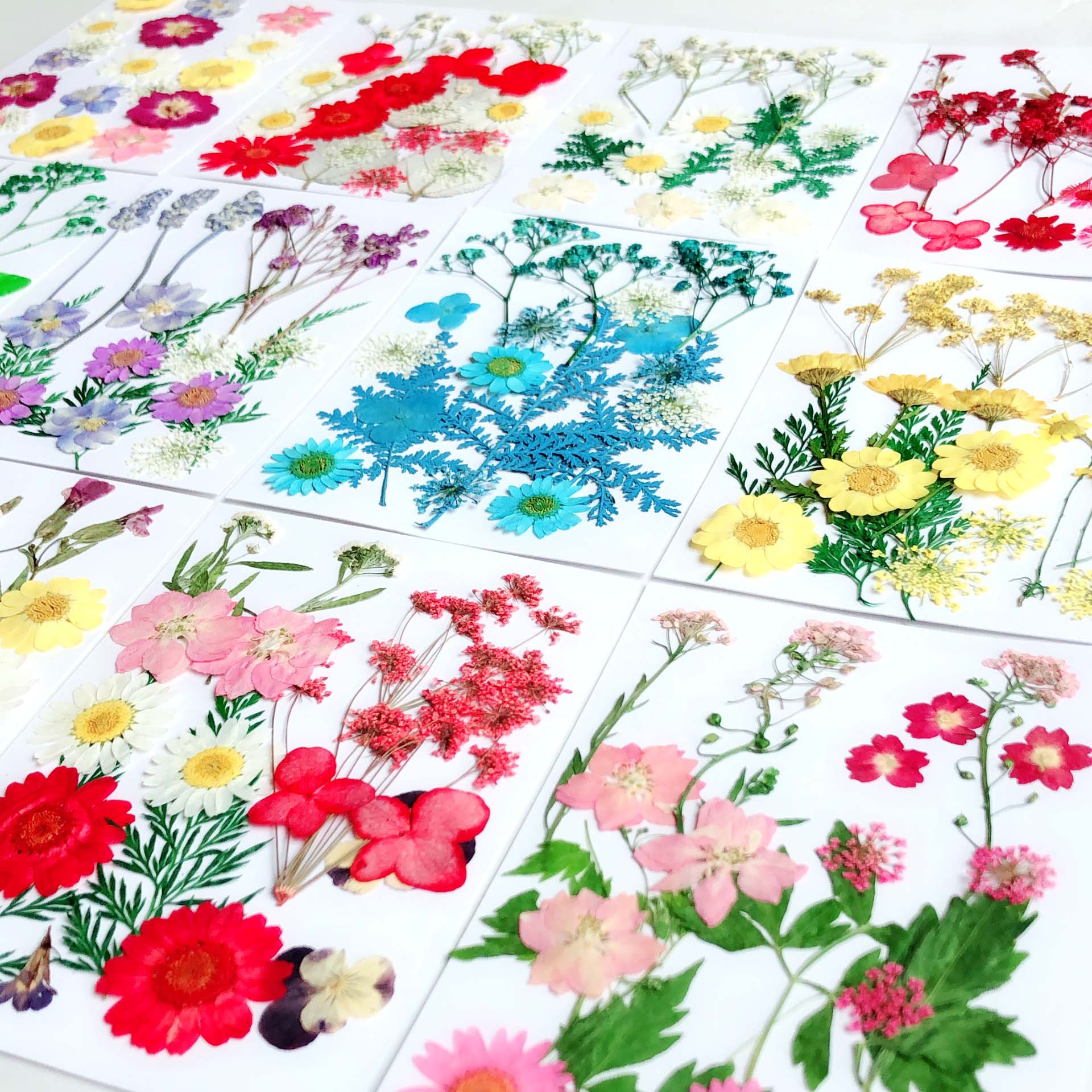 Paquete de material en relieve jardín de infantes en relieve DIY marcador epoxi flor seca caja del teléfono en relieve planta muestra