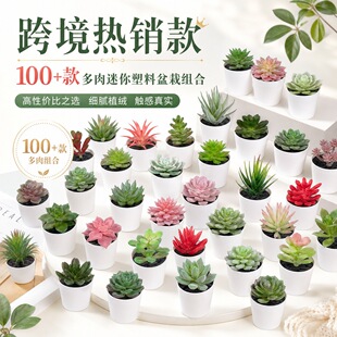 100+�������������������ԽM�Ͽ羳���N����С�辰�Ҿӄ���[��