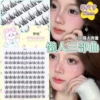Trilogy 10 rows-12 [Single size-commonly used]