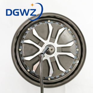 �S��ֱ��10��48V60V72V800W1000W�Ħ늙C �Ħ���x�