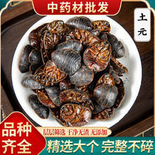 ��Ԫ��ș����Ԫ500g�˰��]��؛���M�x��Ԫ�x�����M�x���M����Ԫ��