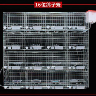 ���ӻ\�Bֳ�ش�̖12λ16λ������ֳ�\�����䌦�\�������\����ľ�|