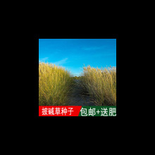 ߮aѴ|ݷNļNBţt|ݷN