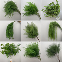 绿色系婚庆仿真花场景布置仿真绿植千层金龙须草芦荀草森系仿真花