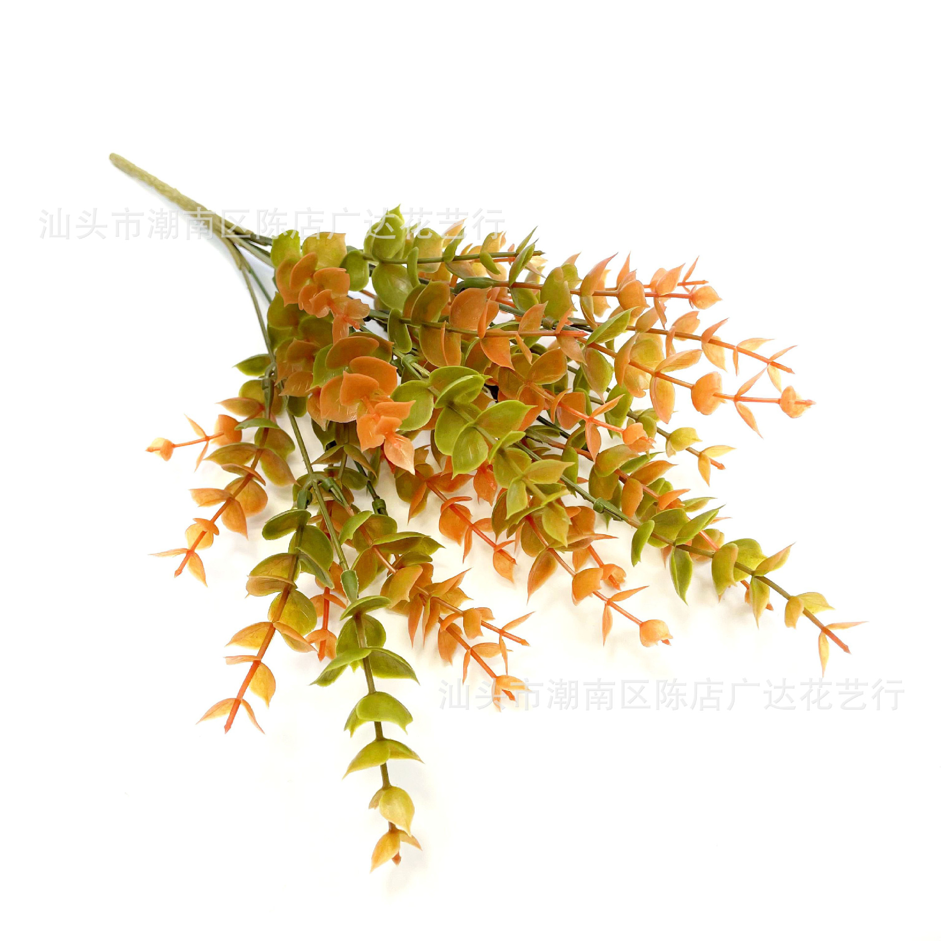 7 cabezas de otoño hierba de eucalipto rojo atardecer (oscuro) sin flores