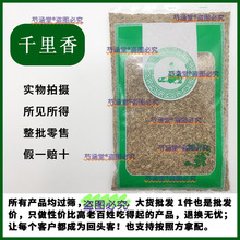 ���x����ǧ���������P�}�Ѱ�������ș���u���u����Ȼ�����{�ϴ�ȫ