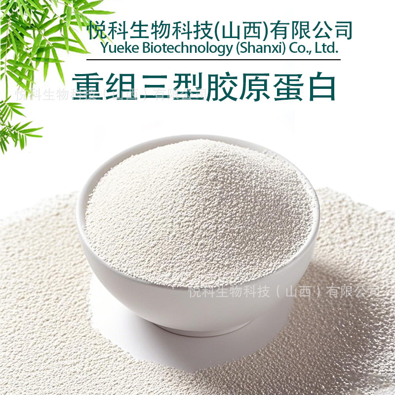 Recombinant Human Type Iii Collagen 1 Gram/Bag, Also Available in Cosmetic Grade Recombinant Type Iii Collagen with Free Shipping