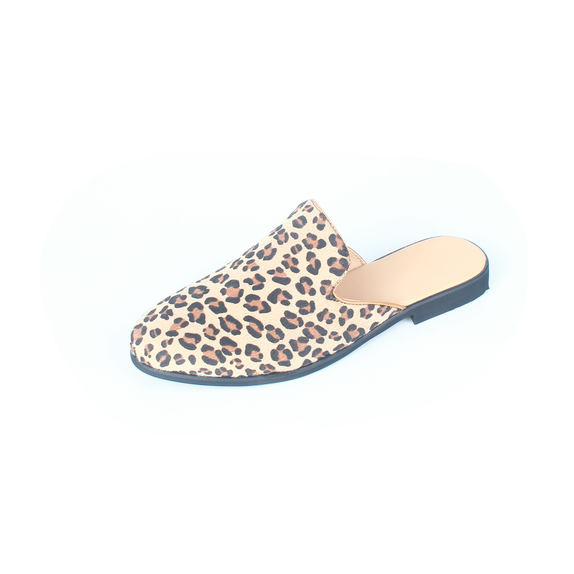 2021괺¿͸Ьʱϰͷһŵ