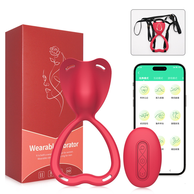 Chaoni 원격 제어 + 앱 버전