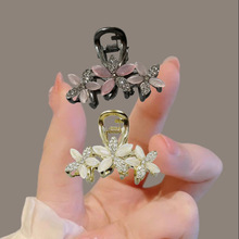 �߼��н���؈��ʯ����ץ�A�l������X�ױP�l�A�¿�l�A�^�