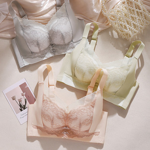 820# �o�ȹǟo�Ȧ�¿������ո����{�����ԸЃ��� 2025�¿����l