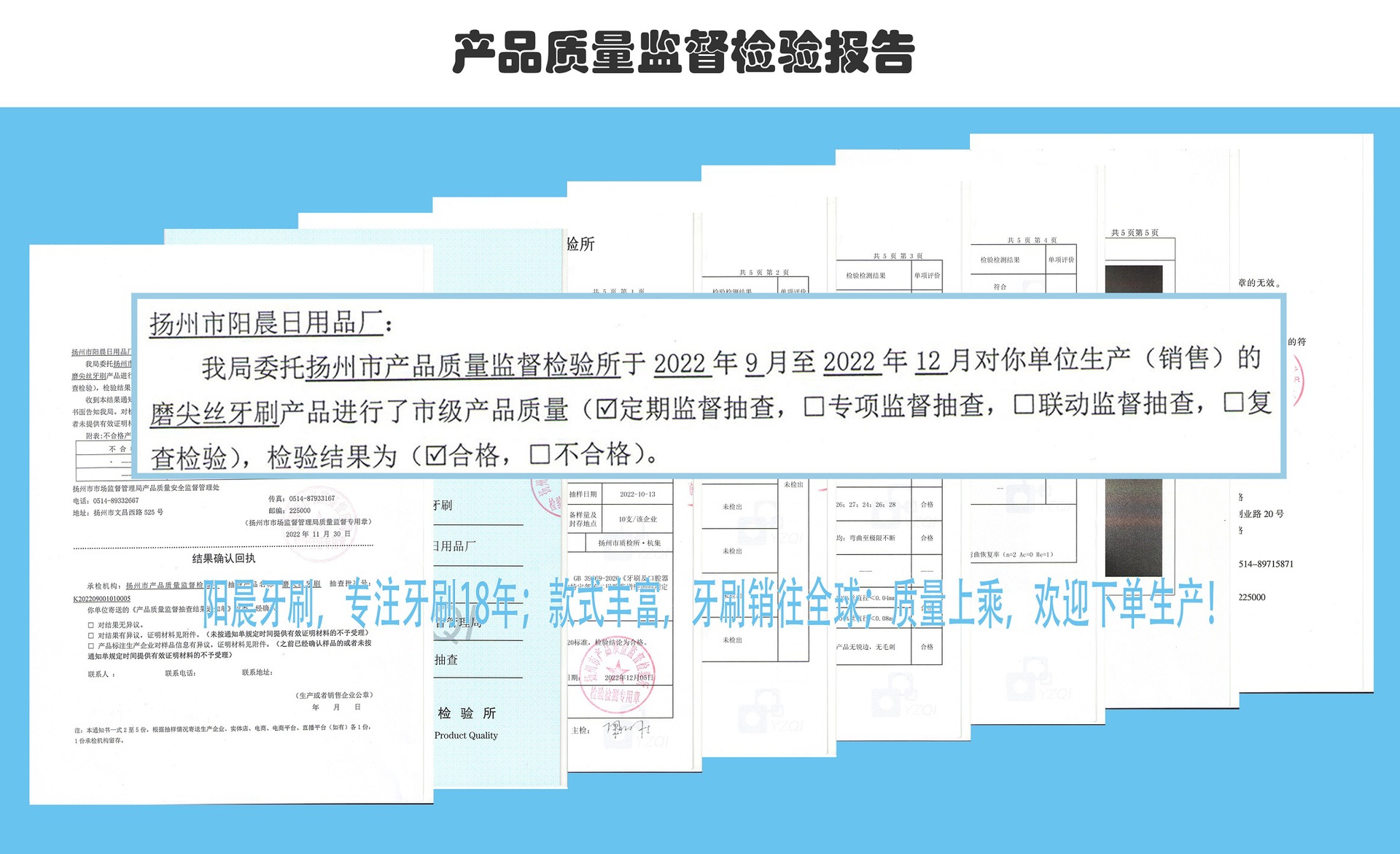 221205-Inspection Report-Yangchen-Speed toothbrush-YC956-220