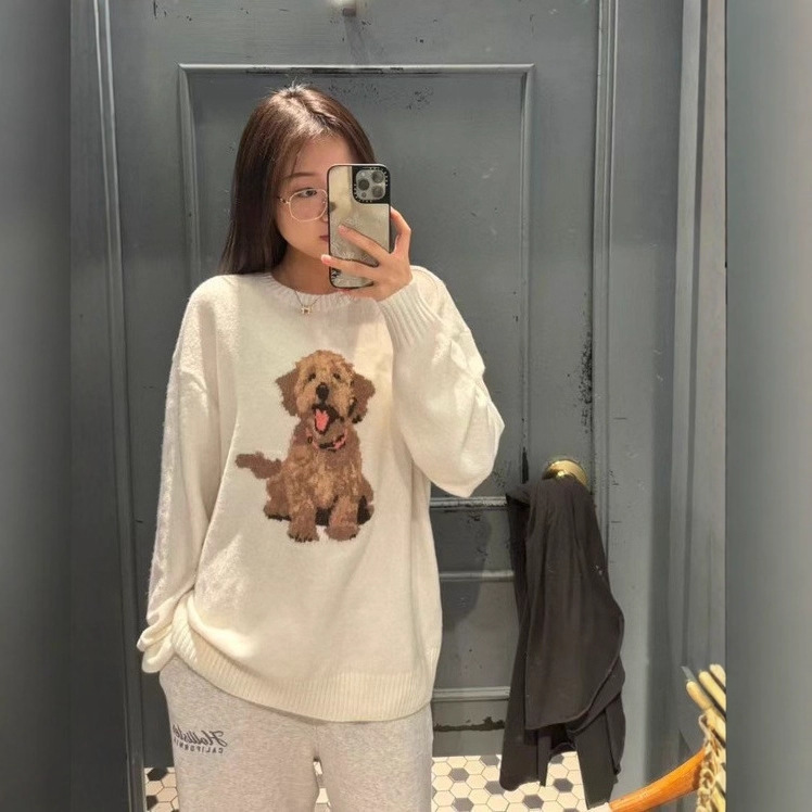 Korean Hollister Little Seagull Jacquard Golden Retriever Cartoon Round Neck Knit Sweater Loose Lazy Sweater for Women