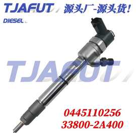 0445110255 0445110256 共轨喷油器国五喷油嘴总成 33800-2A400