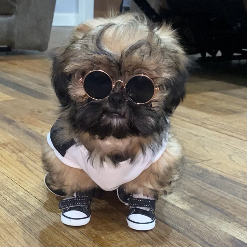 Perro pequeño zapatos de perro de peluche zapatos de perro Four Seasons zapatos Bichon cubierta del zapato anti-sucio anti-caída zapatos de lona zapatos para mascotas transpirable