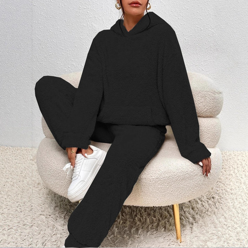 Autumn and winter new European and American casual women's clothing pure color plush hooded long-sleeved pantsuit