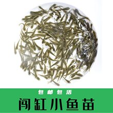 С�~����wι�����{�����������a�~��ˮ�Bֳ���B���ͻ��J�׾����~