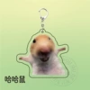 Haha rat