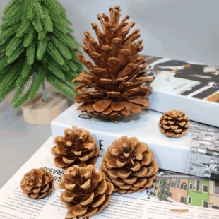 1-15CM�ɹ��}�Q�b�Ʒ�������[���Ĕz���߸ɻ������ֹ�DIY����