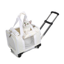 大号宠物航空箱小型犬背包透明四季通用用品狗狗包猫咪礼品拉杆