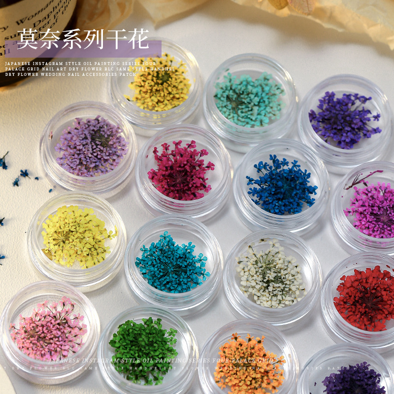 2026 Japanese-Style Ins Popular DIY 3D Nail Art Dried Flower Colorful Petal Decorations Pattern Nail Stickers