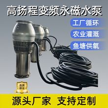 高扬程喷泉专用永磁潜水泵 三相电工业园林灌溉大流量变频抽水泵