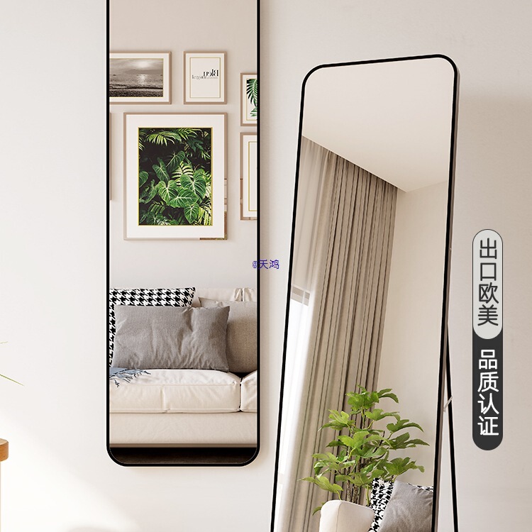 Light Luxury Style Internet Celebrity Full-Body Mirror Clothing Store Floor Mirror Home Wall-Mounted Dressing Mirror Girls Bedroom Fitting Mirror