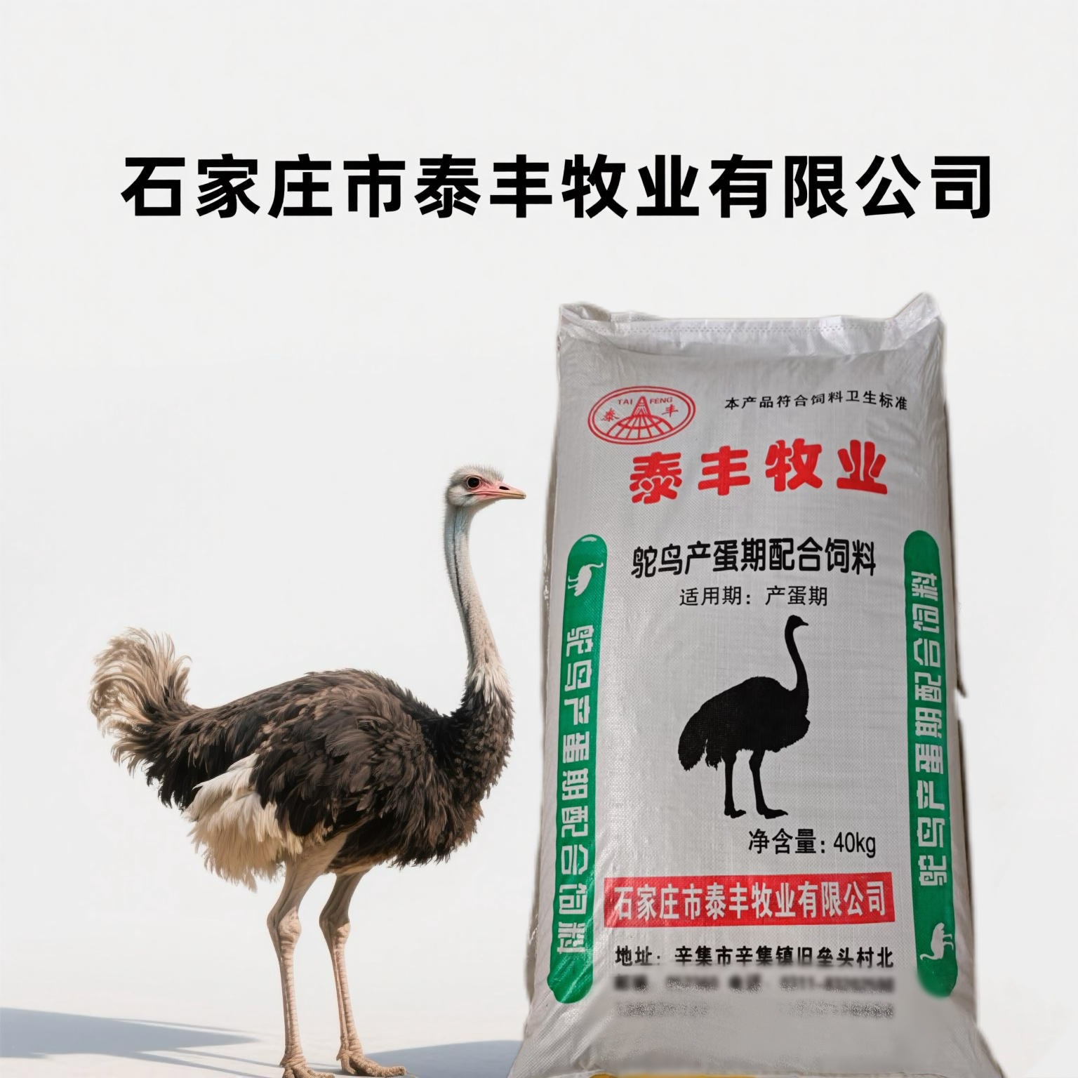 微信图片_20250428081254