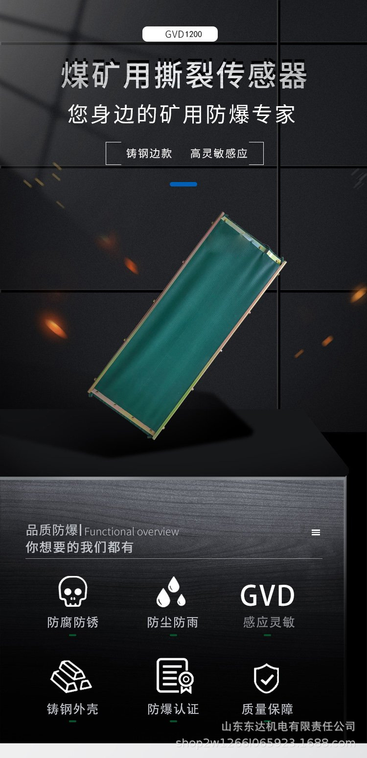 GVD1200撕裂传感器 (1).jpg