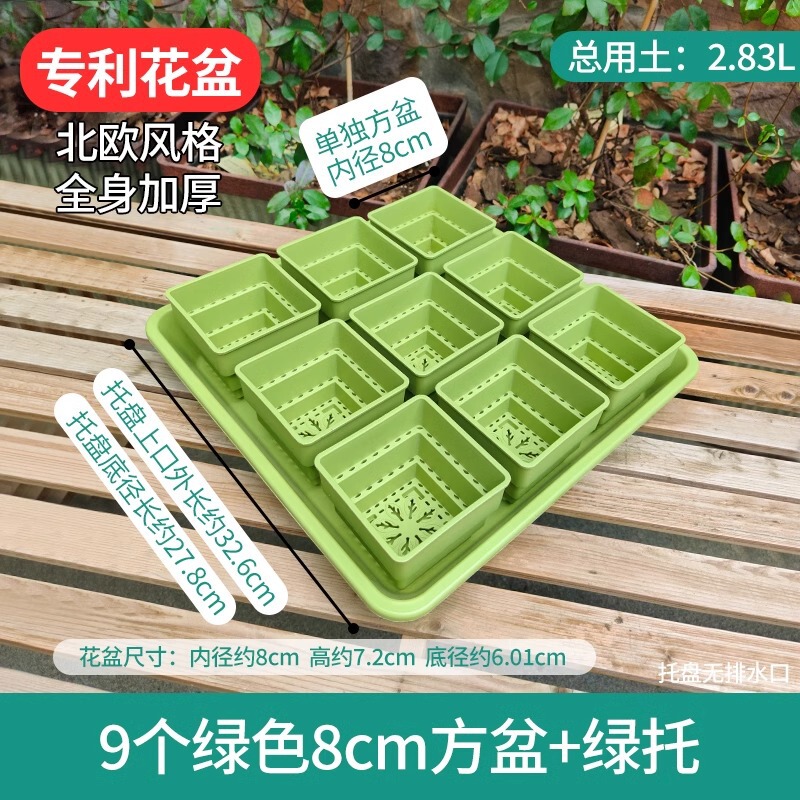 樹脂多肉植木鉢大口径小白角コンビネーション台座付きトレープラスチック通気植物専用根付き鉢|undefined