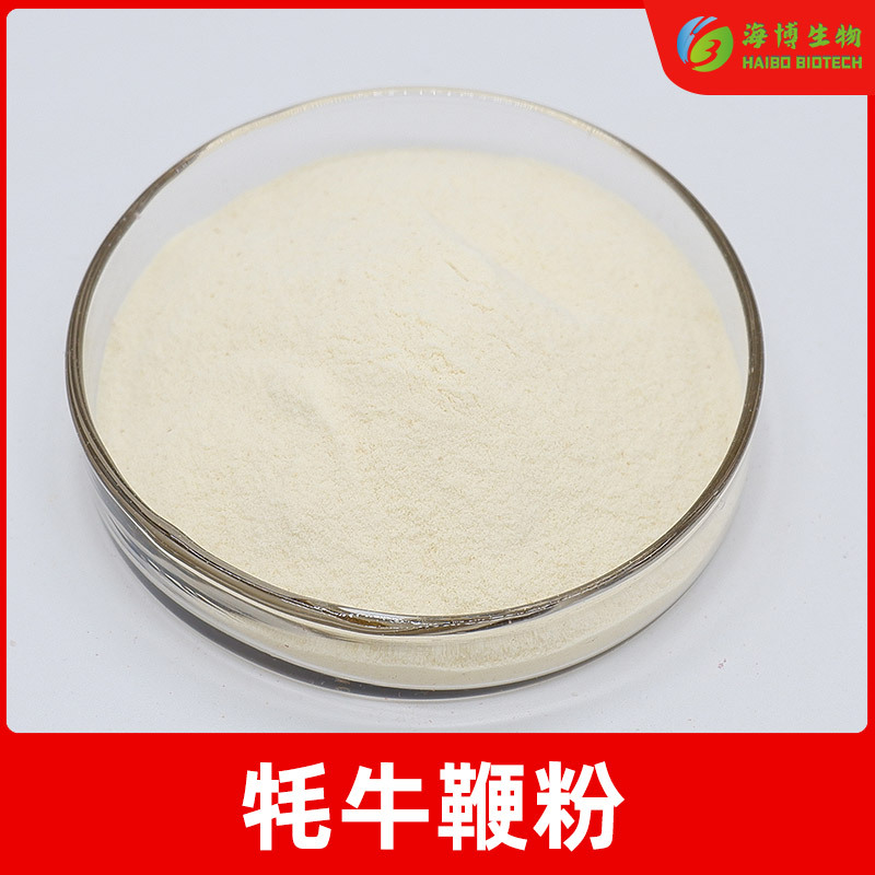 耗牛鞭粉99%  牦牛鞭提取物 牛睾丸粉 西藏耗牛鞭提取物 海博生物