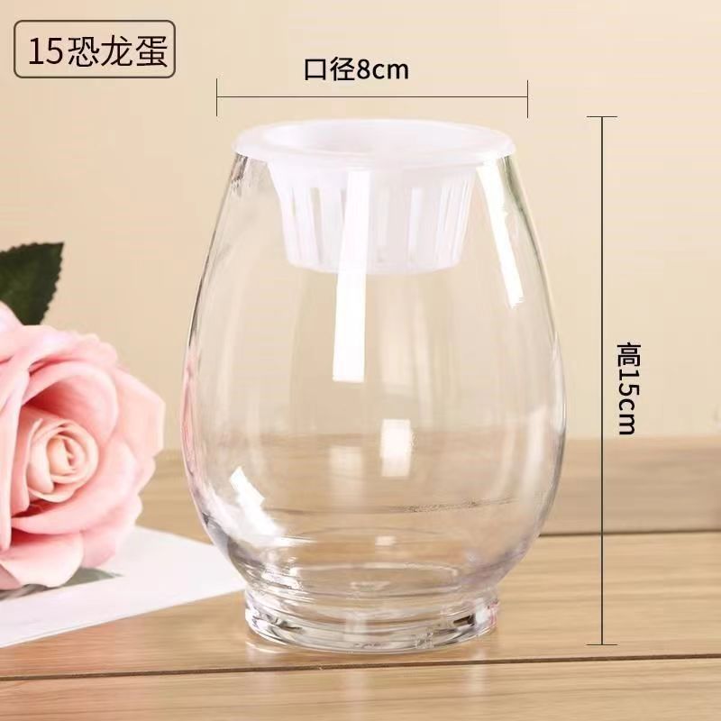 Botella de vidrio hidropónico huevo de dinosaurio tamaño acuario acuario de vidrio acuario fábrica de vasijas transparentes idea al por mayor