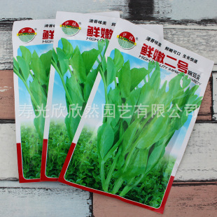 �㶹��N���㶹��ѿ��˷N����횲�ѿ��С��� �ļ������߲˷N��