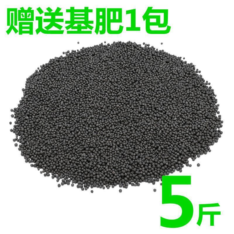 수생식물머드【2.5kg】강화정수버전 - 수생식물머드[종자없음] + 기초비료 단독구매