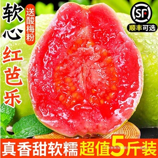 �Ř��t�ķ�ʯ�����rˮ��5�ﮔ��ܛ��������֬�t�Ř����������]