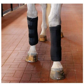 狗狗窝/笼/垫;狗狗牵引;宠物项圈