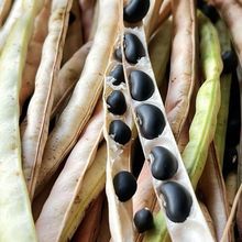 ���ڏV���Rɽ���ڶ�����������׶���ü��С�ڶ���ܿ��ţ��